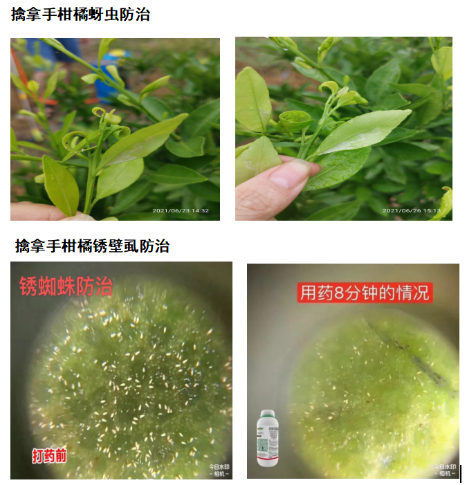 針對這個(gè)可控難治的病，我們有高招！