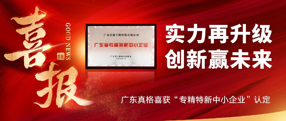 實(shí)力再升級(jí)，創(chuàng)新贏未來！ ——廣東真格喜獲“專精特新中小企業(yè)”認(rèn)定